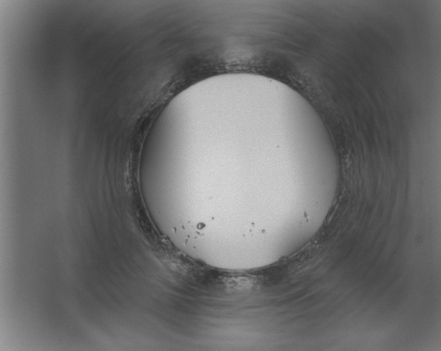 X0000067350698200604212002