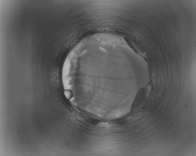 X0000067350699200604212002