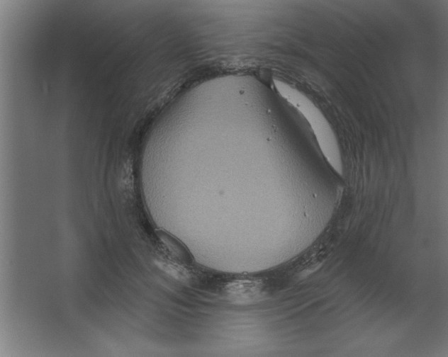 X0000067350700200604212002