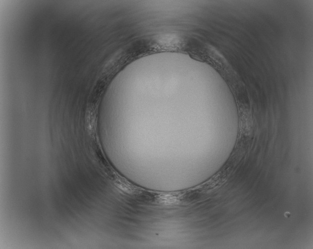 X0000067350701200604212002