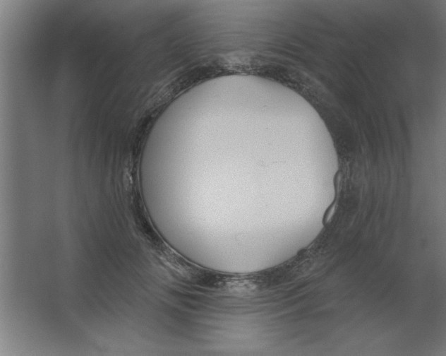 X0000067350702200604212002