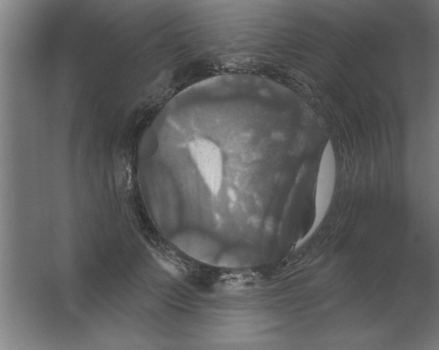 X0000067350703200604212002