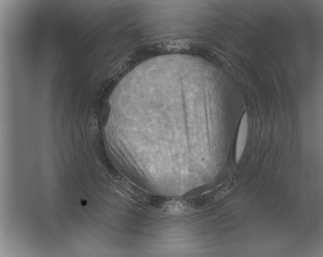 X0000067350704200604212002