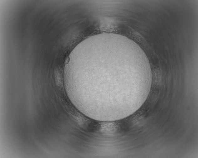 X0000067350705200604212002