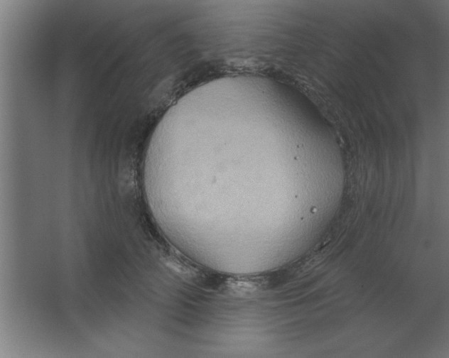 X0000067350706200604212002