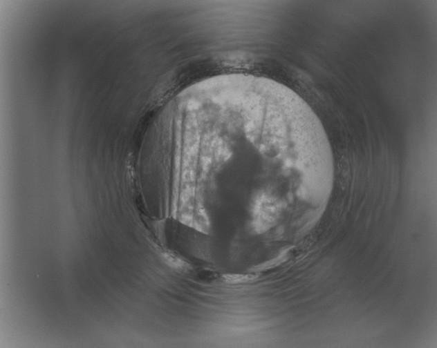 X0000067350707200604212002