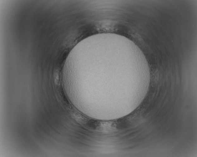 X0000067350709200604212002