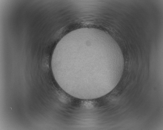 X0000067350710200604212002