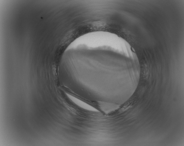 X0000067350711200604212001