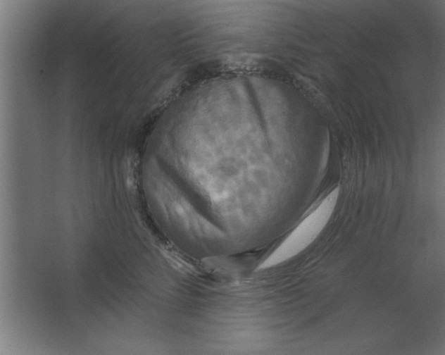 X0000067350712200604212001