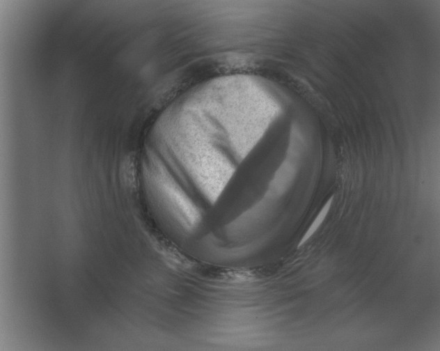 X0000067350715200604212001