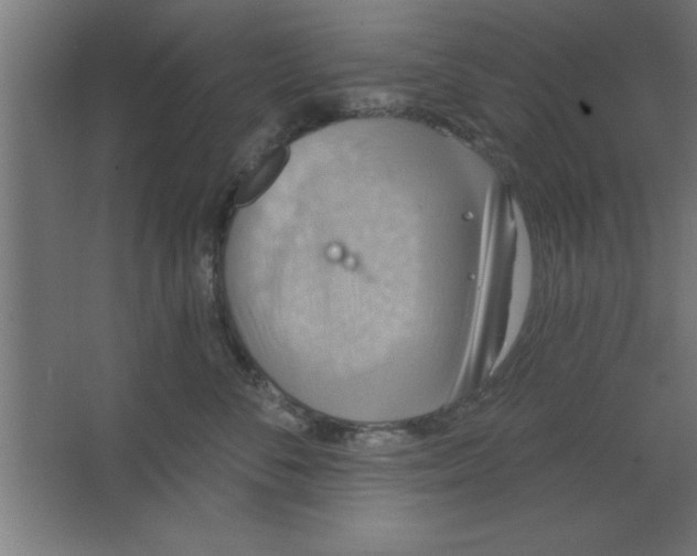 X0000067350716200604212001