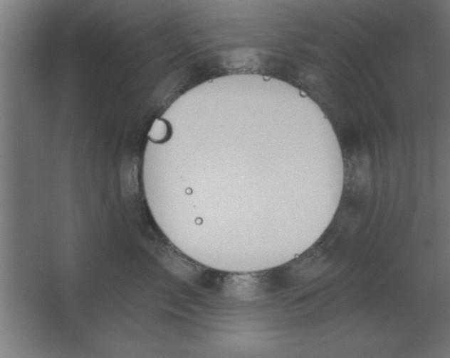 X0000067350717200604212001