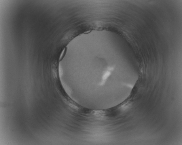 X0000067350719200604212001