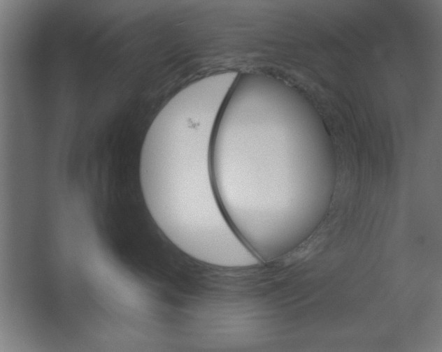 X0000067350720200604212001