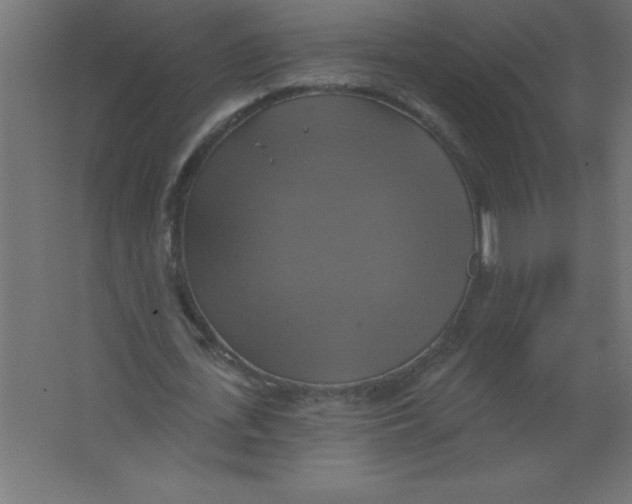 X0000067350723200604212001