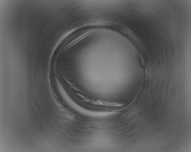 X0000067350724200604212001