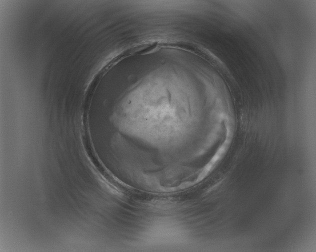 X0000067350725200604212001