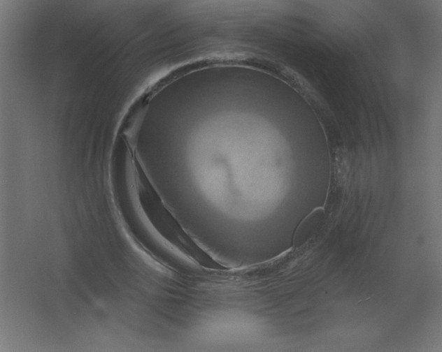 X0000067350726200604212001