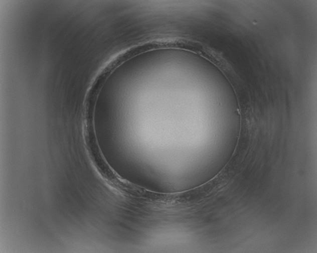 X0000067350728200604212001