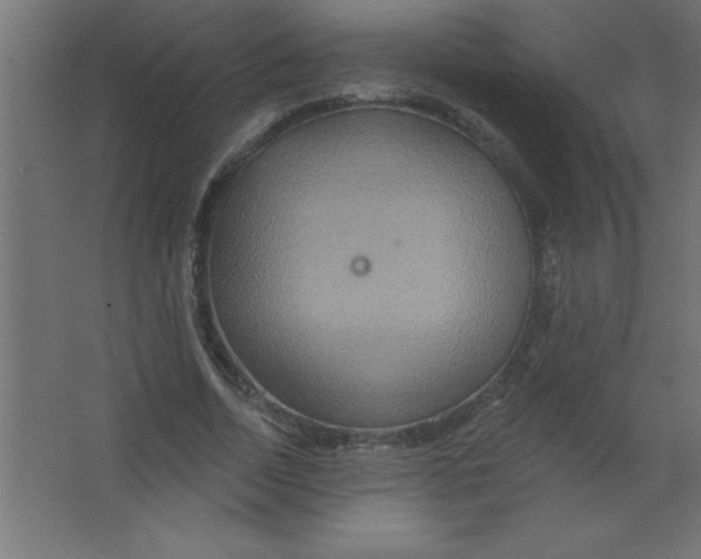 X0000067350730200604212001