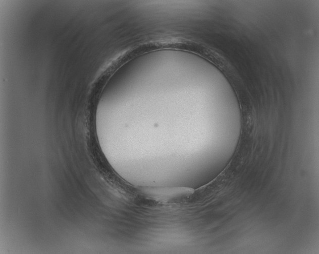 X0000067350732200604212001