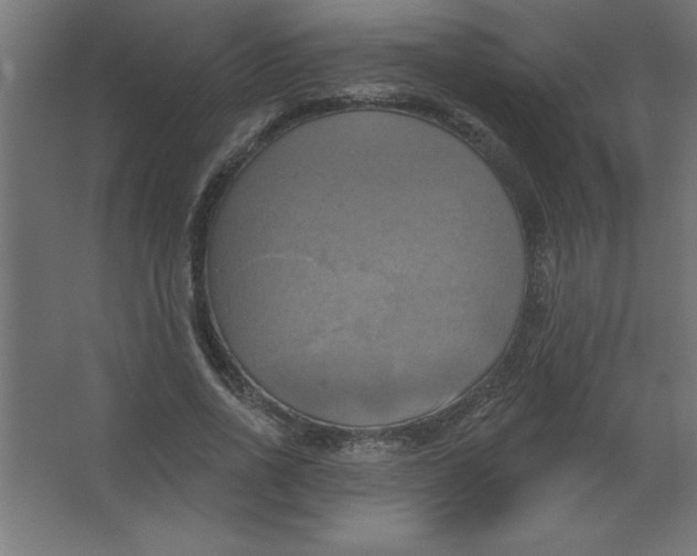 X0000067350734200604212001