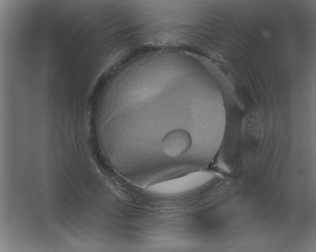 X0000067350735200604212001