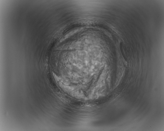 X0000067350737200604212001