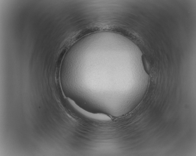 X0000067350740200604212001