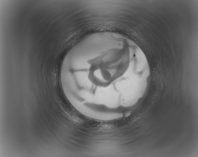 X0000067350741200604212001