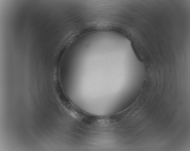 X0000067350744200604212001