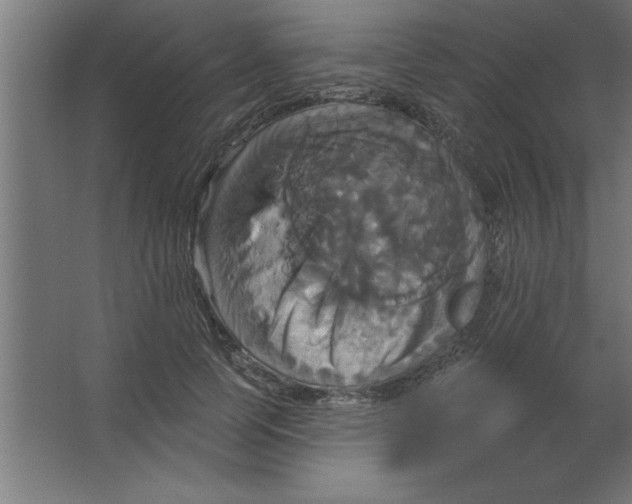 X0000067350745200604212001