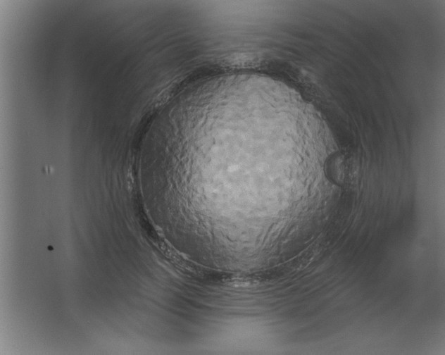 X0000067350746200604212001