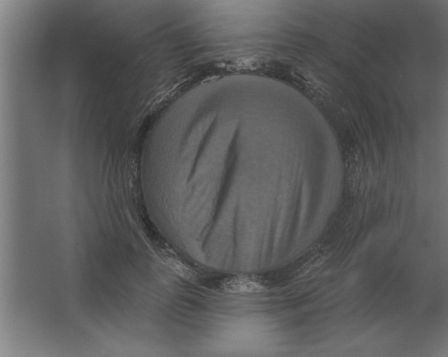 X0000067350747200604212001