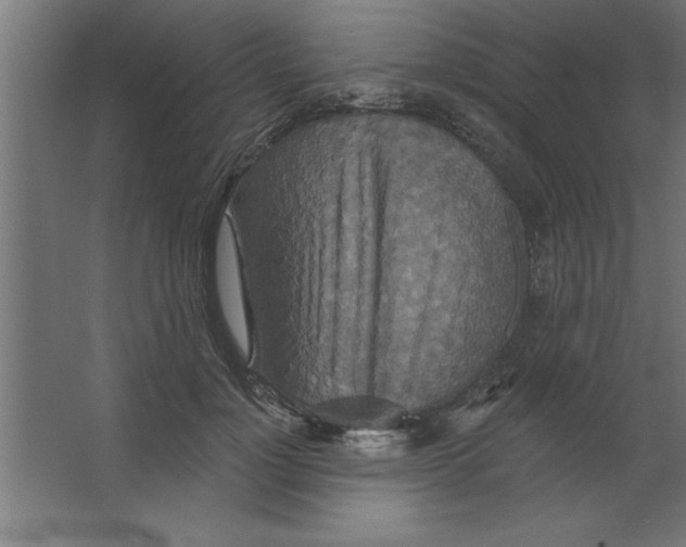 X0000067350748200604212001