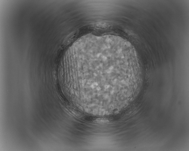 X0000067350749200604212001