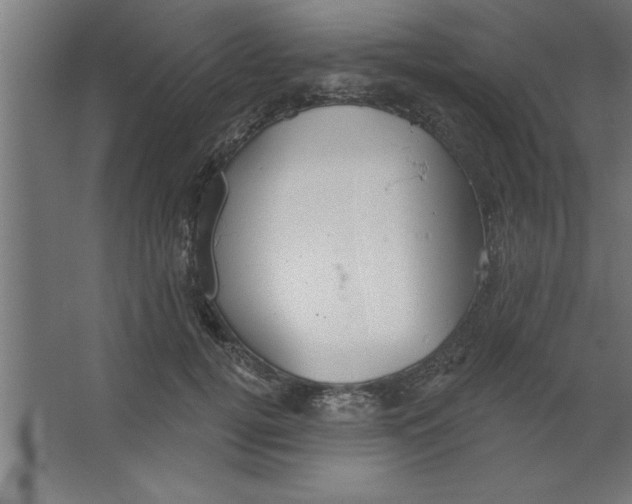 X0000067350752200604212001