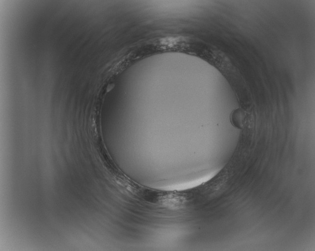 X0000067350754200604212001