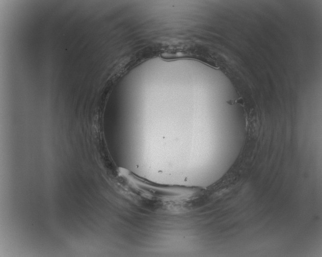 X0000067350756200604212001