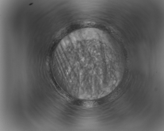 X0000067350757200604212001