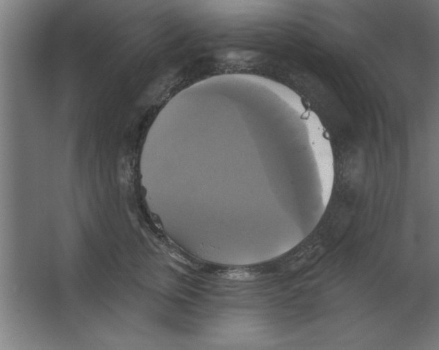 X0000067350759200604212001