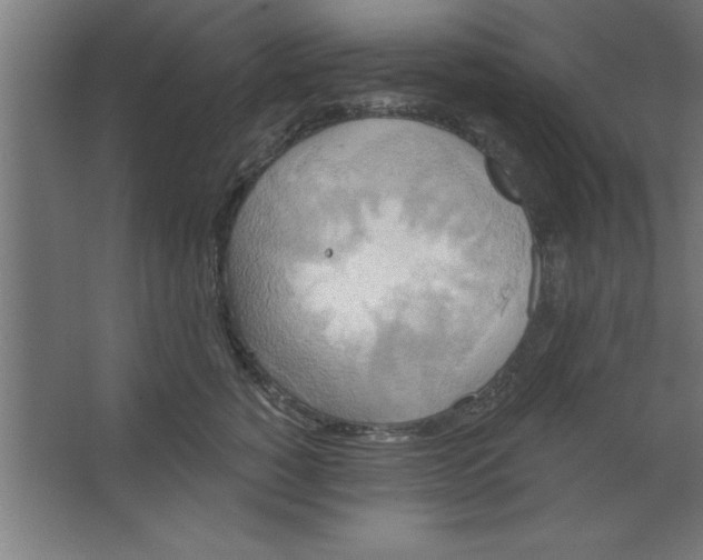 X0000067350760200604212001