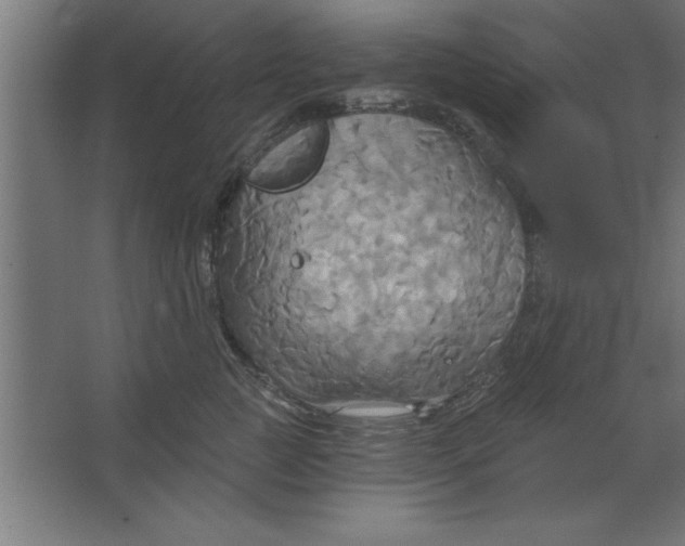 X0000067350761200604212001