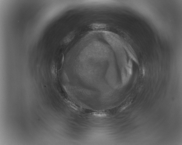 X0000067350763200604212001