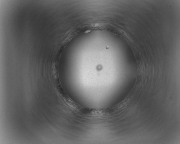 X0000067350764200604212001