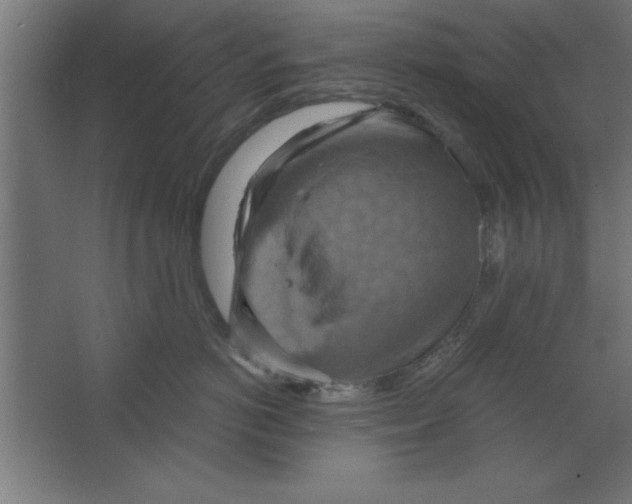 X0000067350766200604212001