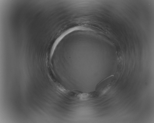 X0000067350767200604212001