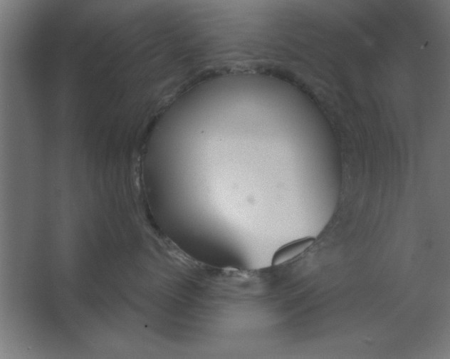 X0000067350768200604212001