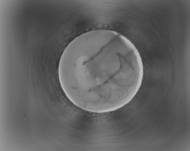 X0000067350769200604212000